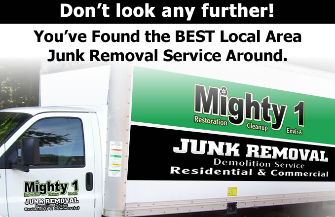 Junk Removal, Debris Removal, Demolition, Anything Goes Junk Removal &  Demolition
